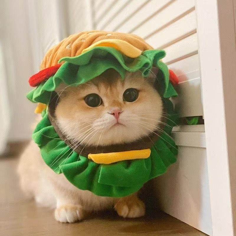 猫 帽子 犬 帽子 ペット 帽子 ハンバーガー コスプレ 猫用 犬用 被り物 かぶりもの ペット用品 かわいい おもしろ 変身 なりきり コスチューム 仮装 ペットウェア 猫グッズ 犬グッズ 小型犬 猫用帽子 ふわふわ 写真撮影 SNS映え 誕生日 ハロウィン クリスマス S M L