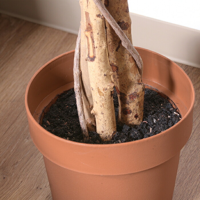 ガーデン エクステリア 観葉植物 フィカス １１２４ Ａ フェイクグリーン 植物 緑 グリーン 癒し 植木 インテリア ガーデニング おしゃれ カフェ リビング プランター ギフト プレゼント 贈り物 オフィス 会社 枯れない 簡単 手入れ 人気 樹木