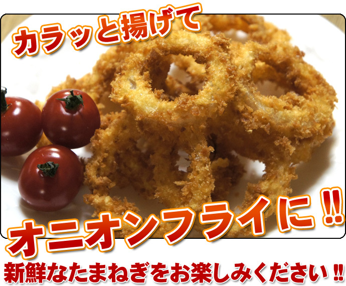たまねぎ 送料無料 5kg 玉ねぎ 玉葱 タマネギ 北海道産 L-2Lサイズ ※沖縄送料別途加算