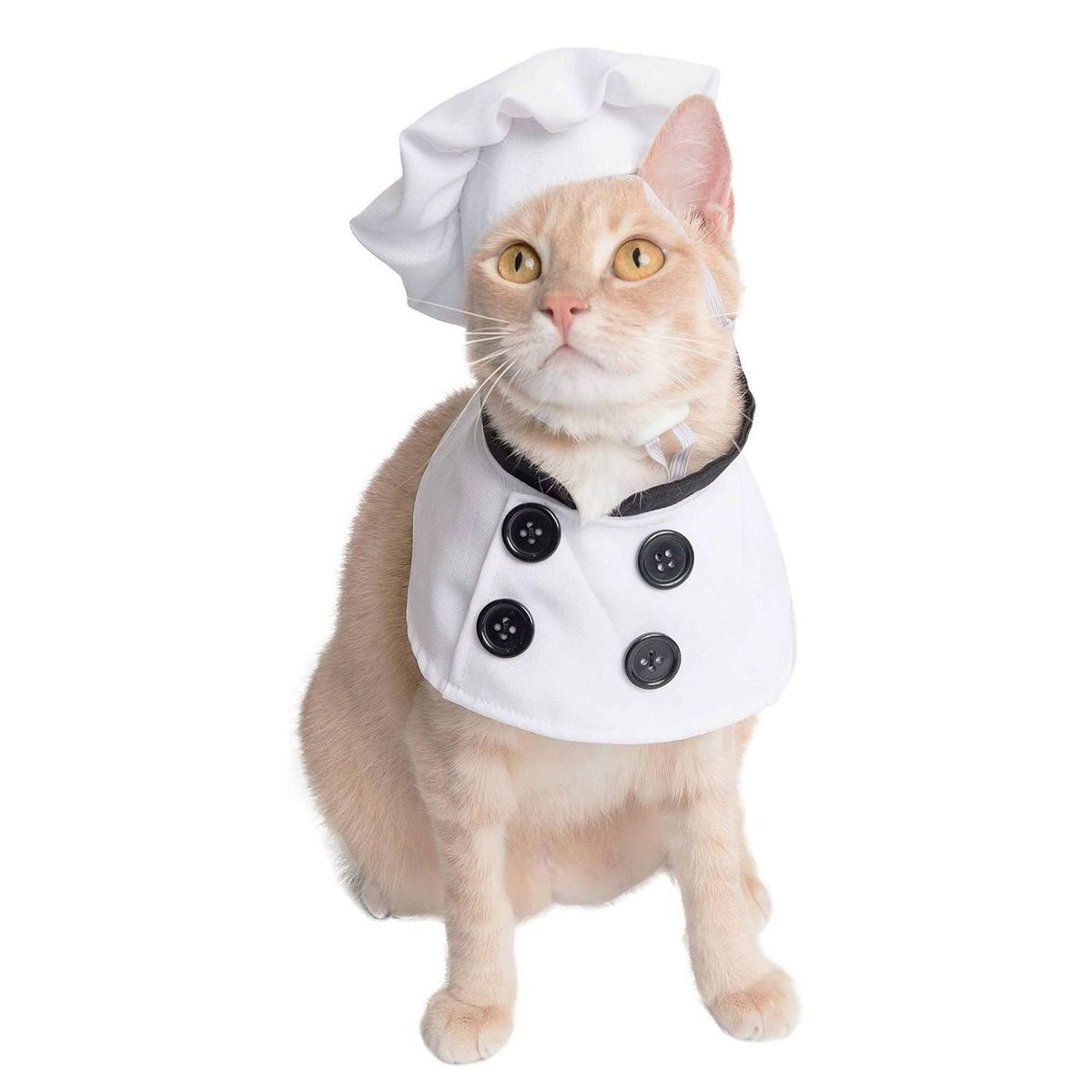 ペット コスプレ 衣装 シェフ 帽子 エプロン 2点セット 犬 猫 かわいい コック 仮装 なりきり 写真撮影 記念日 パーティー ハロウィン クリスマス ペットウェア 小型犬 ギフト
