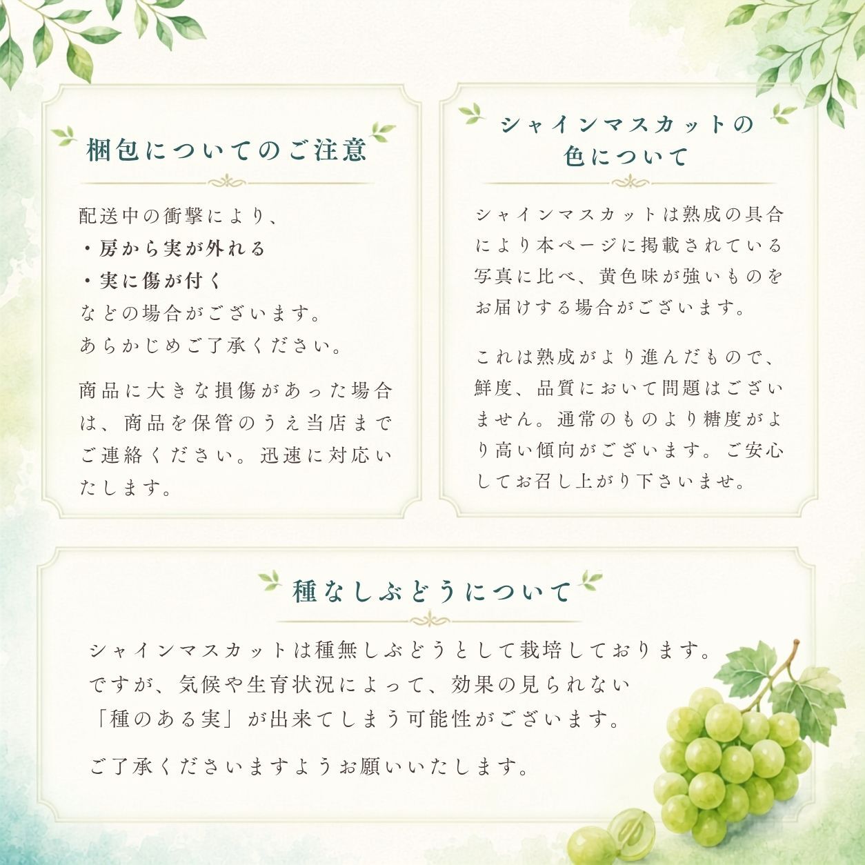 【産地直送】山梨県産 シャインマスカット 特秀品 約1kg｜秋ギフト・誕生日・内祝い・贈答用