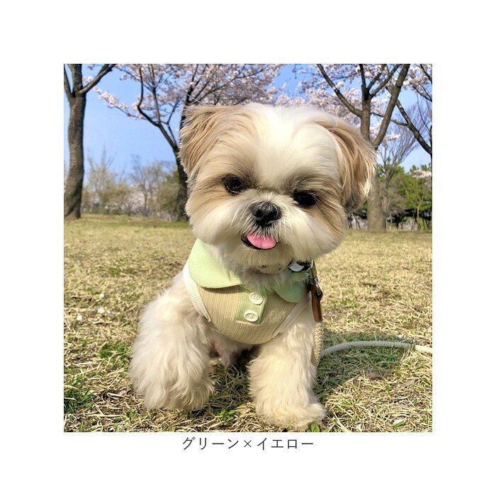 ペット服 おしゃれ 通販 犬服 いぬ わんちゃん用 ペットグッズ 袖なし 小型犬 中型犬 かわいい 襟付き 可愛い 春夏 伸縮性 タンクトップ お散歩 換毛対策 お出かけ カジュアル 着脱簡単 ギフト 贈り物 旅行