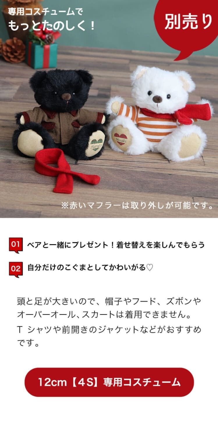 4Sコスチューム
