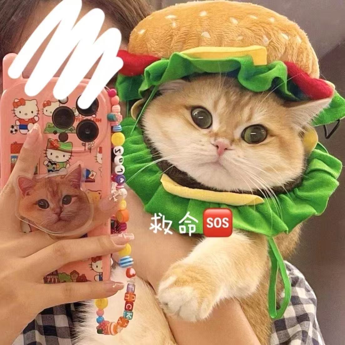 猫 帽子 犬 帽子 ペット 帽子 ハンバーガー コスプレ 猫用 犬用 被り物 かぶりもの ペット用品 かわいい おもしろ 変身 なりきり コスチューム 仮装 ペットウェア 猫グッズ 犬グッズ 小型犬 猫用帽子 ふわふわ 写真撮影 SNS映え 誕生日 ハロウィン クリスマス S M L