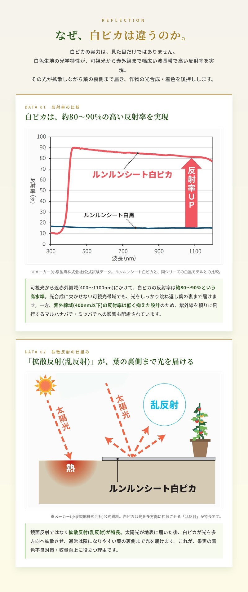ルンルンシート 白ピカ 防草シート 白色 100m 反射シート 雑草対策 太陽光反射 光合成促進 地表温度抑制 透水性 幅50/75/100/150/200/300/400cm 7サイズ展開 農業マルチング ビニールハウス 家庭菜園 畑 法面 太陽光発電 ポリプロピレン 耐用3-5年 業務用 特許取得