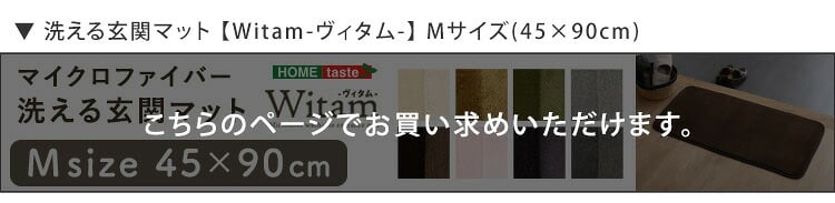 ラグ カーペット 洗える玄関マット 45×90cm 【ヴィタム-Witam-】