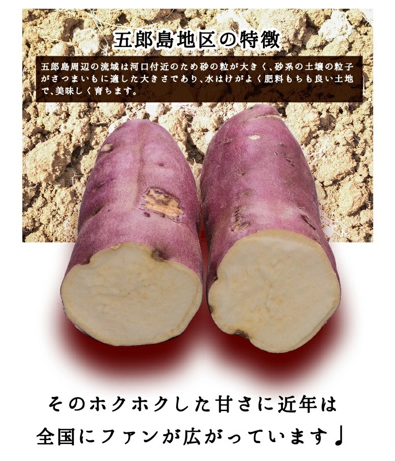 五郎島金時 Mサイズ 3kg さつま芋  石川県産 