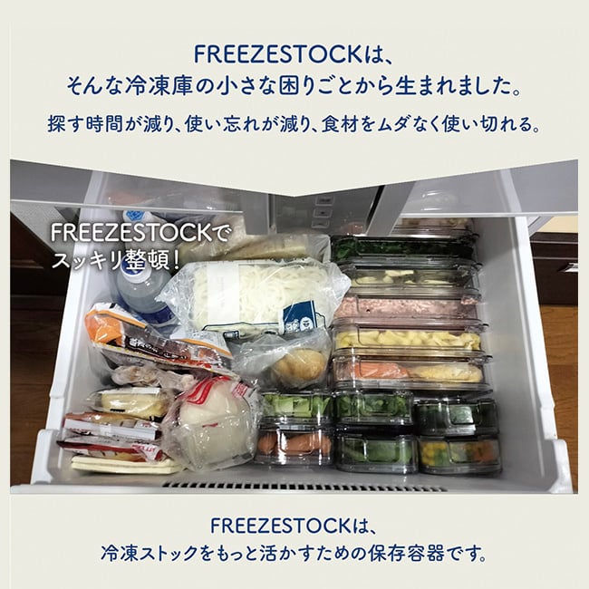 TAKEYA タケヤ FREEZE STOCK フリーズストック M 《2個セット》[保存容器 フードコンテナ 冷凍 クリア 透明 日本製 タケヤ フードストッカー オシャレ 保存 容器 中身が見える 小分け 冷凍容器 プラスチック ケース 薄型 浅型 食品保存]