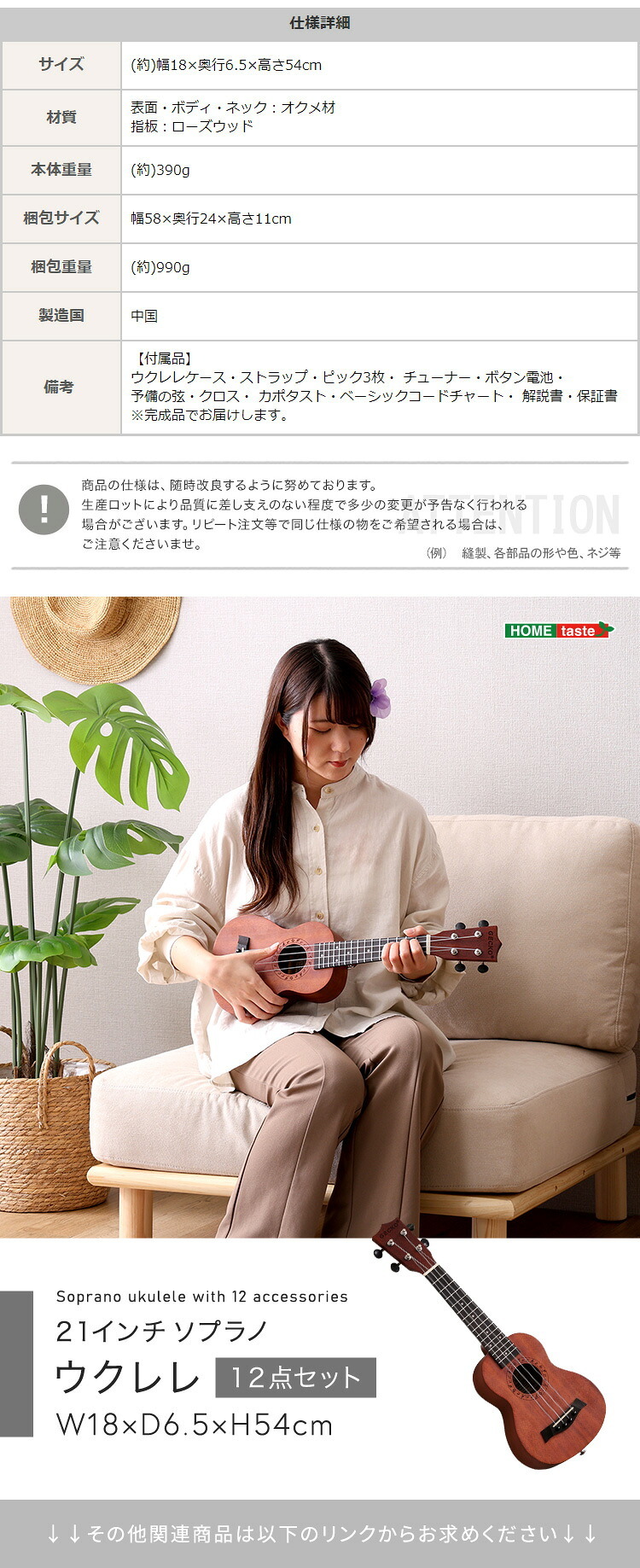 初心者でも始めやすい ウクレレ 12点セット 21インチ(ソプラノ)