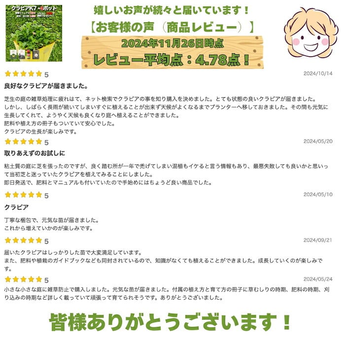 クラピア K7 苗4株 お試し1平米用 白品種 植栽マニュアル付き グランドカバー 植物 4ポット 肥料 活力剤 2種付き イワダレソウ改良種 白品種 白い花 プランツ 庭 屋上 緑化 多年草 地被植物 ほふく性 下草 背が低い 宿根草 ガーデニング 雑草対策 diy