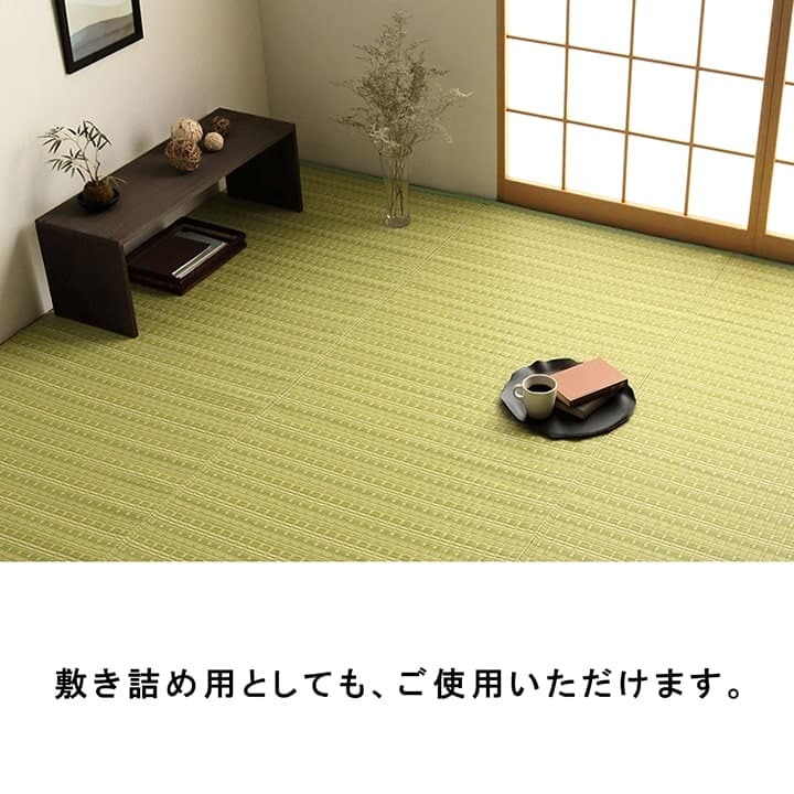ラグ カーペット 洗える ダイニング 敷詰 丈夫 日本製 国産 除菌スプレー対応 アウトドア ペット 本間1畳（約95.5×191cm）