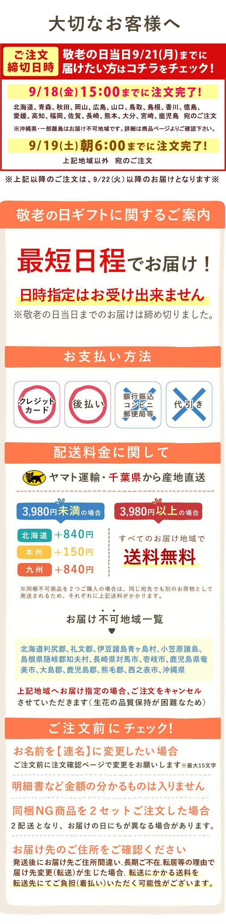 ＼遅れてごめんね！／ 敬老の日 すぐ贈れるギフト 即日発送 ギフト プレゼント 花 生花 鉢植え 鉢花 胡蝶蘭 コチョウラン 蘭 バウムクーヘン ギフトセット スイーツ お菓子 洋菓子 花とお菓子 60代 70代 80代 90代 おじいちゃん おばあちゃん 孫 孫から 送料無料 おいもや