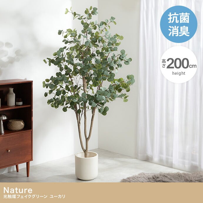 【高さ200cm】光触媒人工観葉植物 ユーカリ 幅70cm×奥行60cm×高さ200cm オフィス 天然木 ポリエステル 組立品 お部屋に気軽に飾れて空間を美しく彩るフェイクグリーン 本物の植物のようなリアルな質感とインテリアに馴染む風合いが魅力です