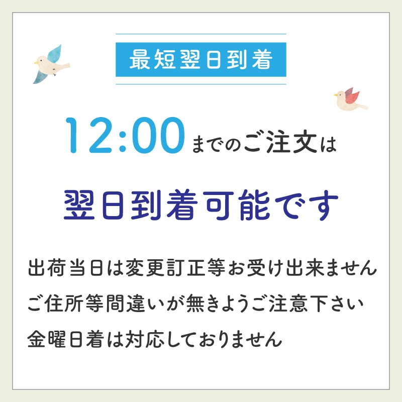 【お悔やみの花】【選べる6色】【Lサイズ】【クール便】【最短翌日お届け】フラワーアレンジメント 送料込み 日時指定可 おまかせ制作  | お悔やみアレンジ お供え花  法事 法要 命日 四十九日 葬儀 枕花