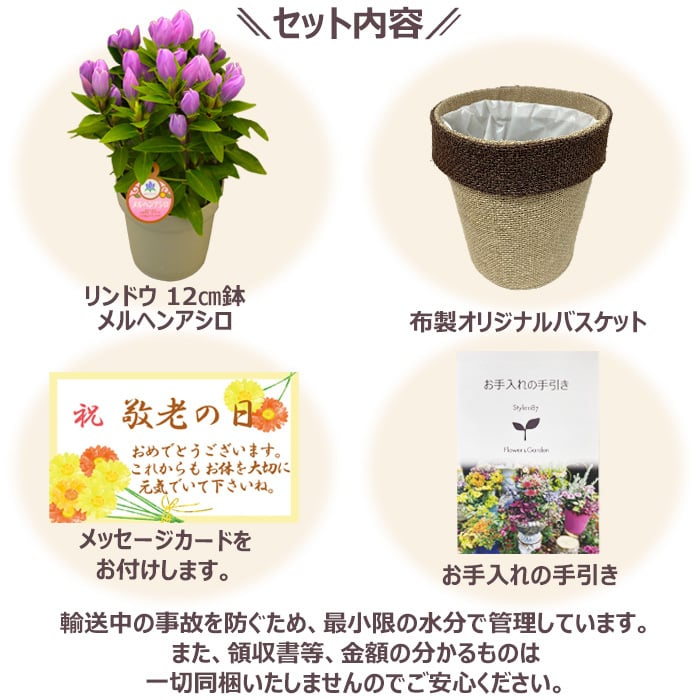 祝 敬老の日 プレゼント ギフト リンドウ メルヘンアシロ4号 バスケット 9月21日 鉢花 りんどう 送料無料 沖縄・離島を除く