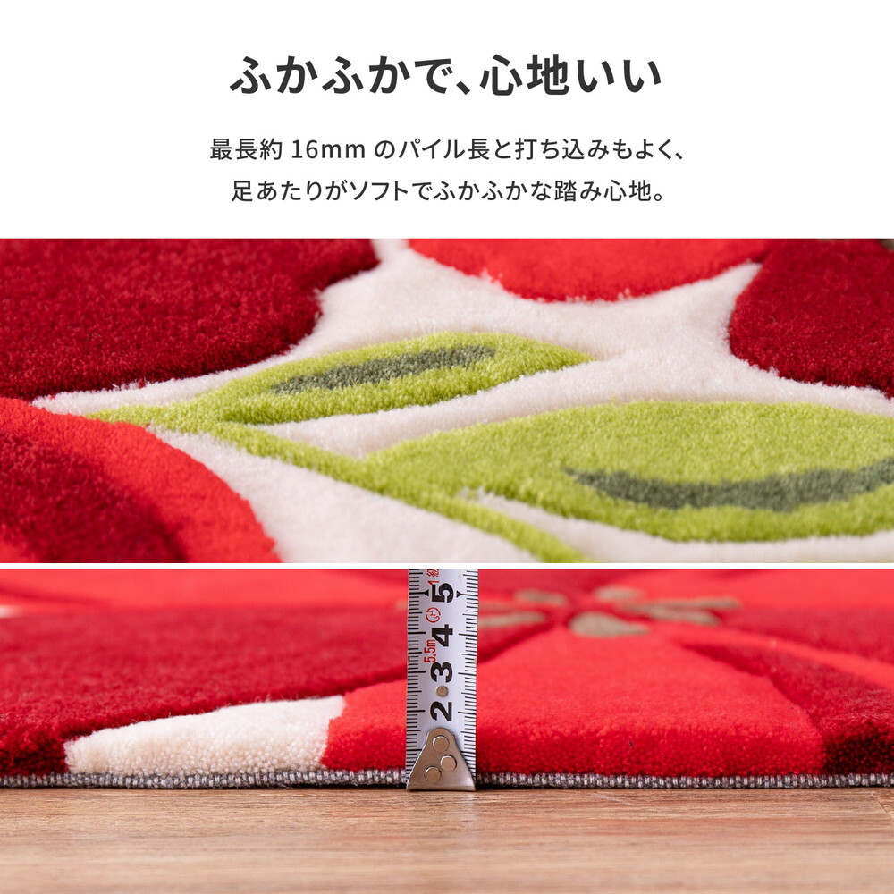 ラグ カーペット 玄関マット アベル 約50×80cm 洗える 滑り止め 花柄 フラワー 室内 屋内 エントランスマット