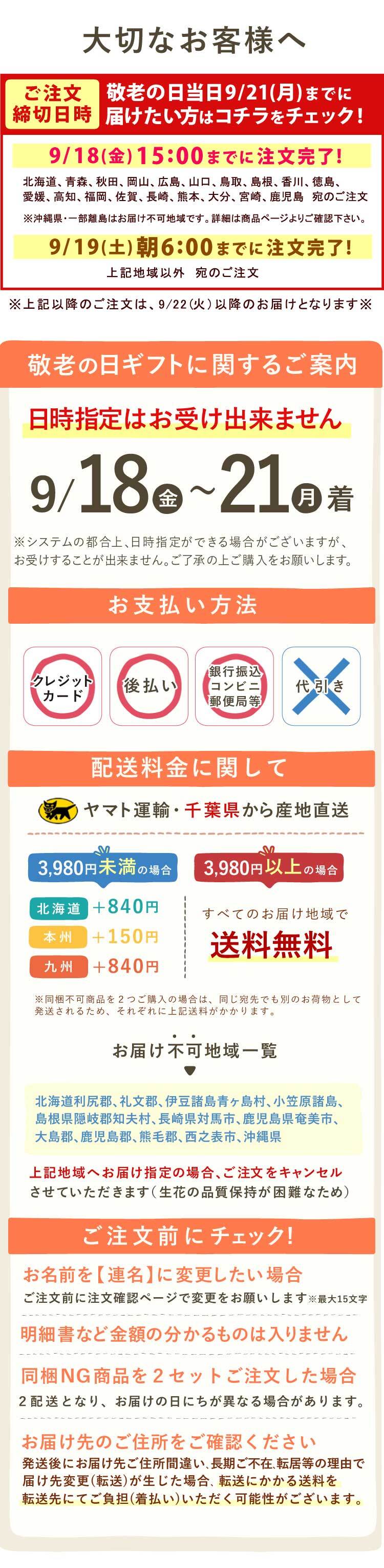 【まだ間に合う】 敬老の日 すぐ贈れるギフト 即日発送 プレゼント 2026 花 生花 蘭 胡蝶蘭 ラン 鉢花 鉢植え 産地直送 産直 ミディ 可愛い かわいい インテリア 壁掛け スタンド バウムクーヘン 苺 お手入れ簡単 ギフト 送料無料 スイーツ お菓子 洋菓子 おいもや