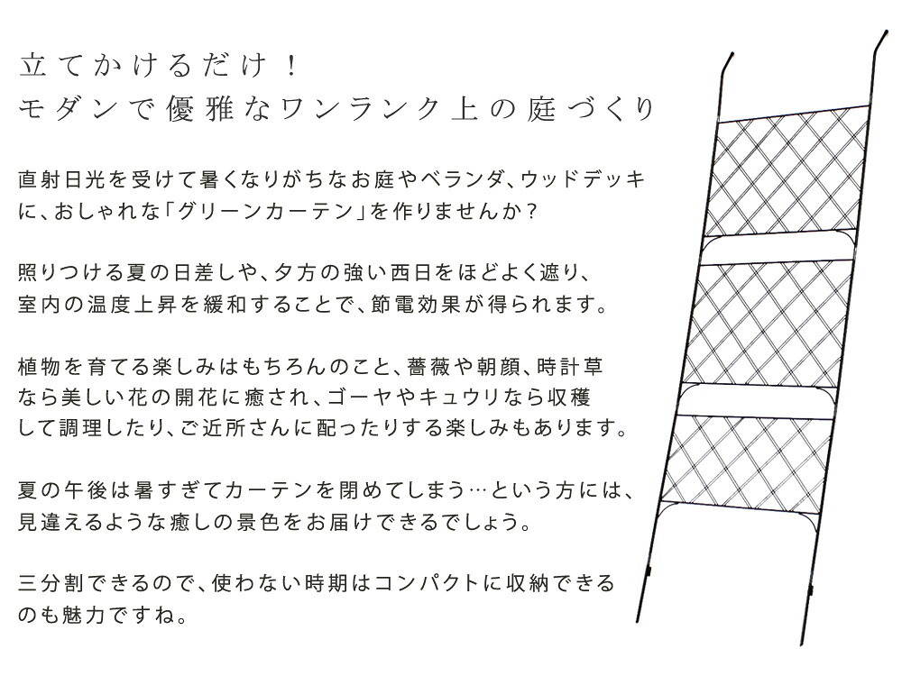 アイアンフェンス アイアン製グリーン アーガイル フェンス アイアン グリーンフェンス ゴーヤ 薔薇 バラ 朝顔 庭 ベランダ ガーデニング 枠 柵 仕切り 目隠し 境目 アンティーク トレリス 園芸 ラティス 屋外 ガーデンフェンス 目隠しフェンス 新生活