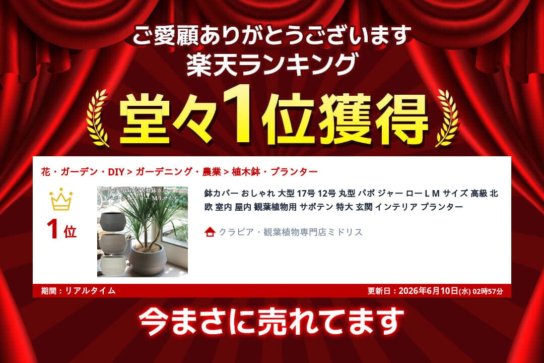 鉢カバー おしゃれ 大型 軽量 17号 12号 丸型 平鉢 KONTON コントン パボ ジャー ロー L Mサイズ 高級 北欧 モダン ナチュラル 室内 屋内 観葉植物用 多肉植物 サボテン 特大 底穴なし 玄関 リビング プランター 浅型 オフホワイト ブラウン グレー