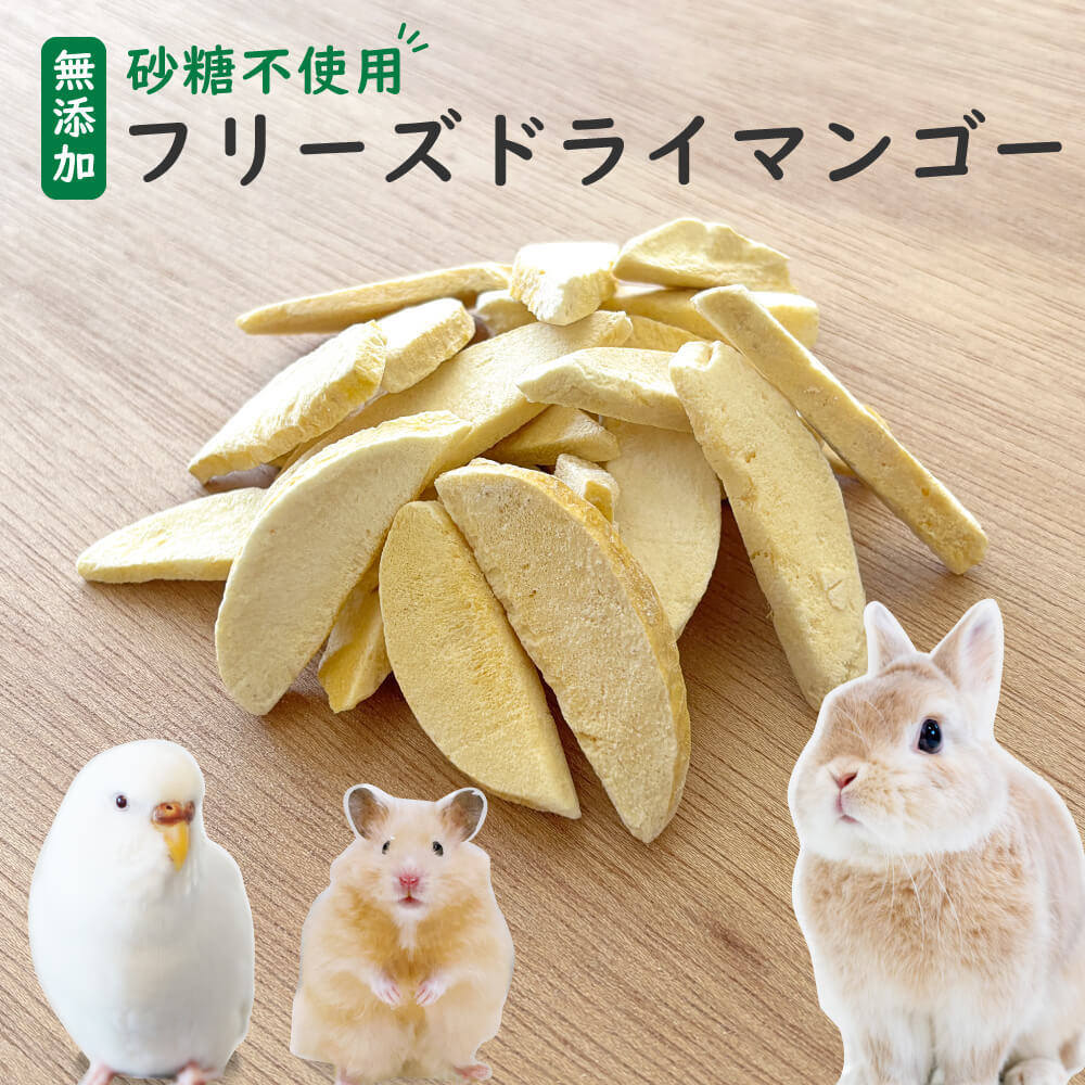 【砂糖不使用】小動物用フリーズドライマンゴー 20g 40g 60g 1袋あたり約35枚入り スライス ウサギ ハムスター モルモット インコ リス チンチラ ハリネズミ モモンガ おやつ 人も食べれる 完全無添加 砂糖ゼロ フルーツ 乾燥 果物 ペット 動物 中国産 送料無料