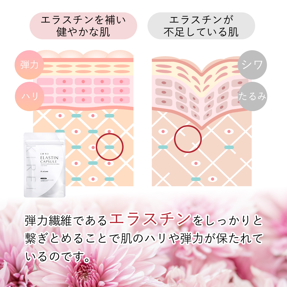 【パッケージリニューアル 2026年4月】季令（KIREI） エラスチンカプセル 100粒 高純度エラスチン 100％天然由来 コラーゲン エラスチン ヒアルロン酸 エイジングケア スキンケア キレイ 無着色 合成保存料・香料不使用 ACTLAND