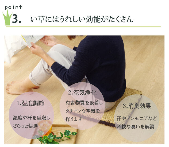 クッション 七島クッション 七島藺草 シート 『コート マチ付』 約40×40cm 2枚組