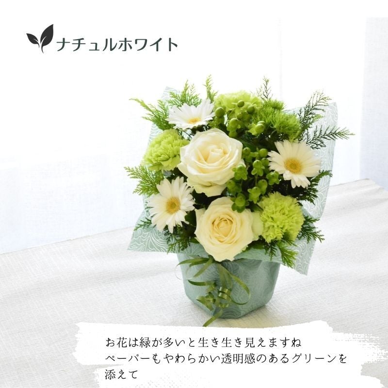 誕生日 花 即日発送　生花 フラワーアレンジメント フラワーギフト プレゼント 送料無料 色が選べる アレンジメント お礼 お祝い 展示会 発表会 お見舞い 楽屋花 退職祝い お彼岸 お供え ほんの気持ち プレゼント ギフト つつむ 土日発送