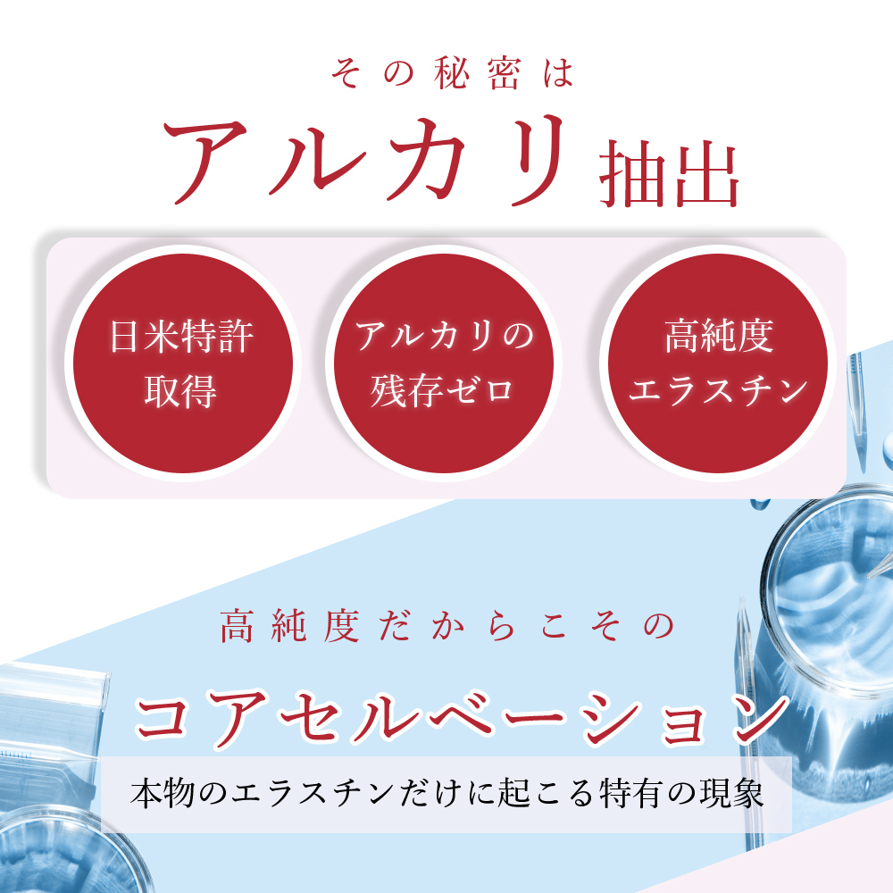 【パッケージリニューアル 2026年4月】季令（KIREI） エラスチンカプセル 100粒 高純度エラスチン 100％天然由来 コラーゲン エラスチン ヒアルロン酸 エイジングケア スキンケア キレイ 無着色 合成保存料・香料不使用 ACTLAND