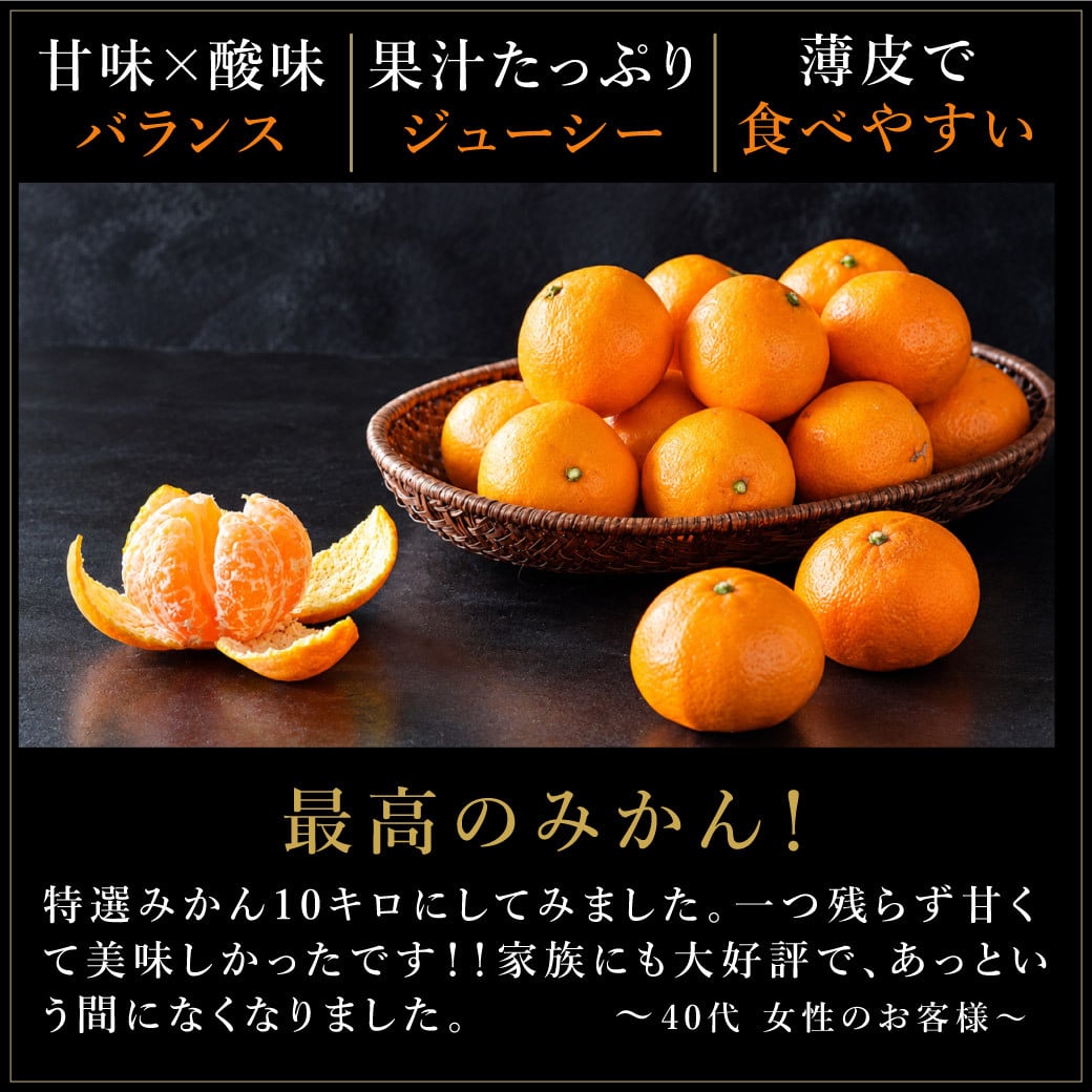 みかん 5kg 贈答用 秀品 特選 送料無料 和歌山 S～２L 混合 伊藤農園 小玉 大玉 中玉 手詰め 有田みかん 温州みかん 早生 約35～60個 ご当地 果物 柑橘出産内祝い 贈答 ギフト 誕生日 結婚祝い 出産祝い 内祝い ギフト
