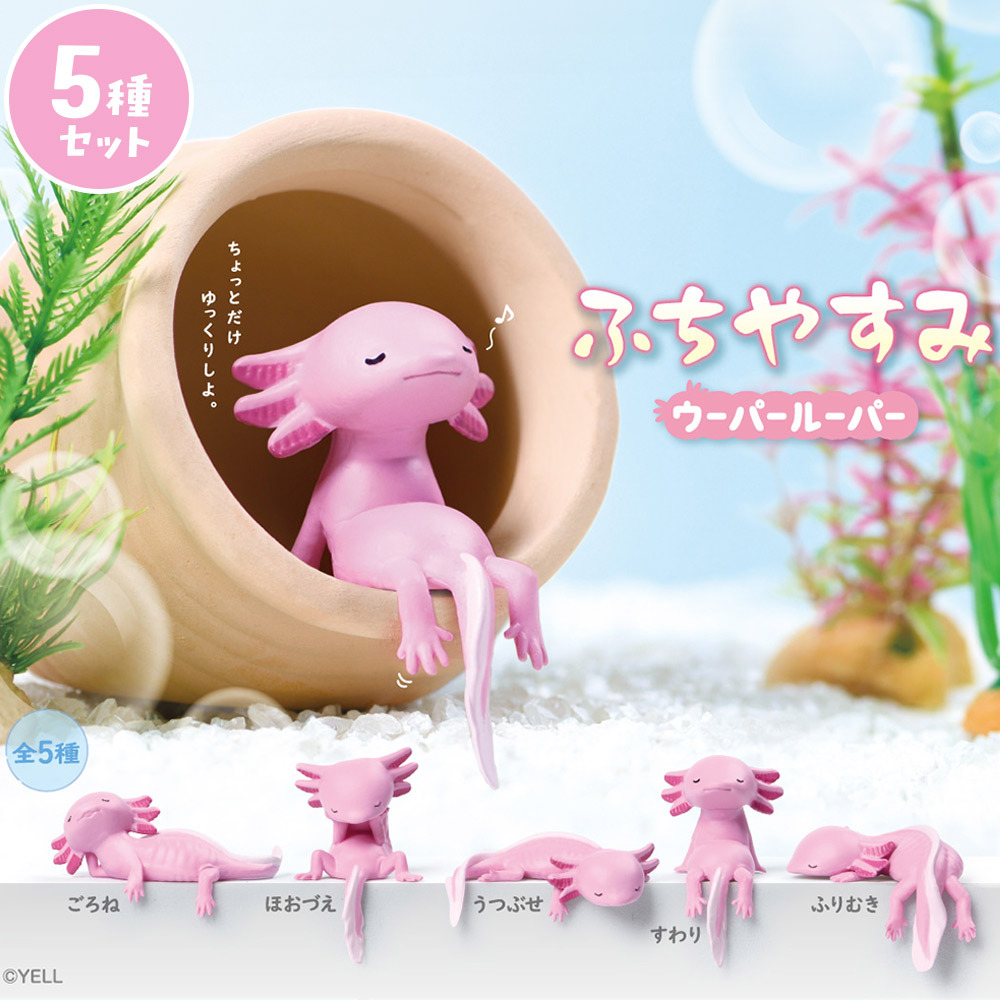 【5種類セット】 エール ガチャ ふちやすみ ウーパールーパー コンプリート 中身 ガチャガチャ
