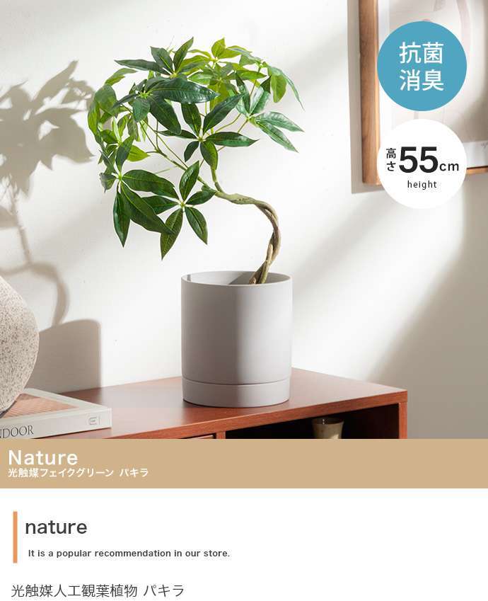 【高さ55cm】光触媒人工観葉植物 パキラ 幅35cm×奥行35cm×高さ55cm コンパクト 天然木 お部屋に気軽に飾れて空間を美しく彩るフェイクグリーン 本物の植物のようなリアルな質感とインテリアに馴染む風合いが魅力です