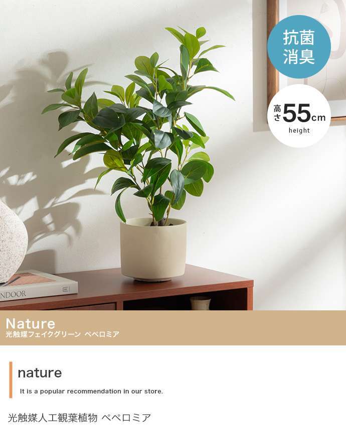 【高さ55cm】光触媒人工観葉植物 ペペロミア 幅30cm×奥行25cm×高さ55cm コンパクト 天然木 お部屋に気軽に飾れて空間を美しく彩るフェイクグリーン 本物の植物のようなリアルな質感とインテリアに馴染む風合いが魅力です
