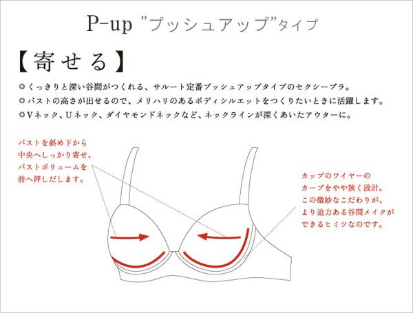 ワコール サルート BTJ448 48G ブラジャー 3/4カップワイヤー (P-upタイプ) Gカップ