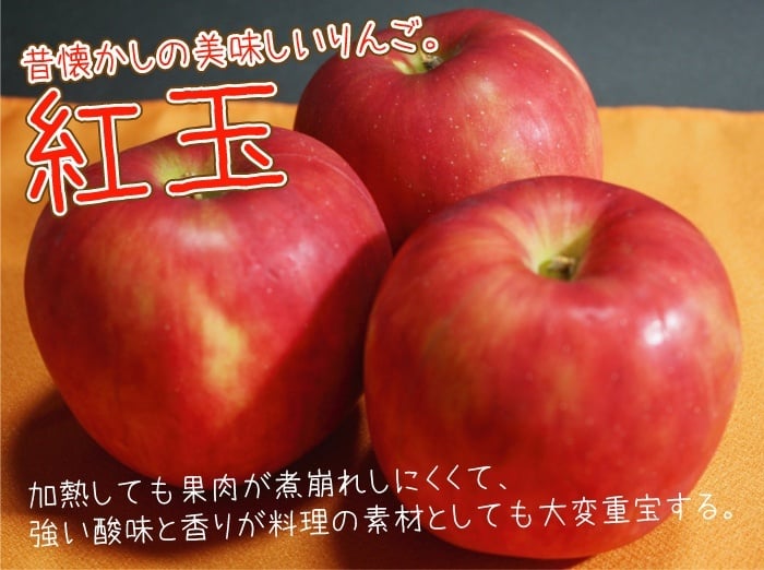 １０月下旬頃から発送開始　青森りんご 紅玉 こうぎょく ●家庭用10C箱(10kg箱:約36～50個入)