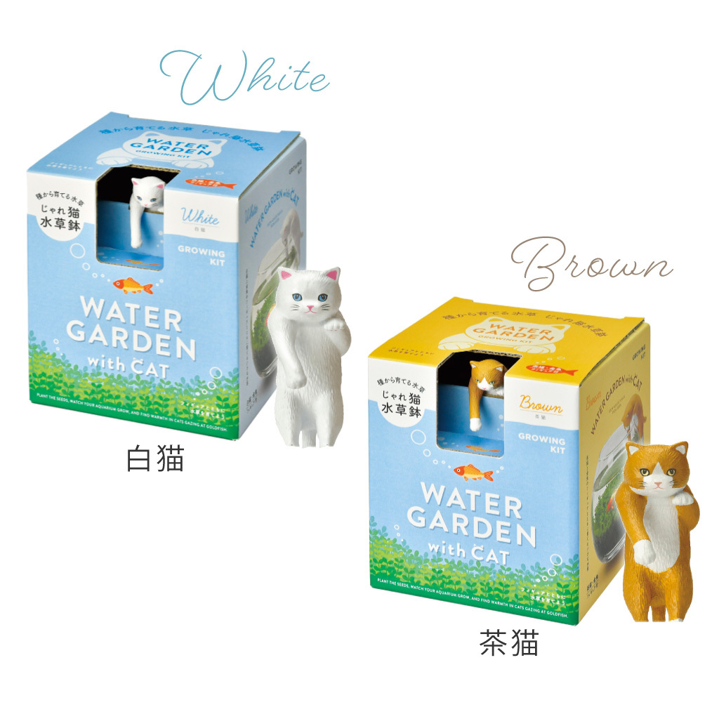 じゃれ猫水草鉢 猫と楽しむミニアクアリウム水草栽培キット 鉢付き フィギュア付き 猫 ネコ ねこ 金魚 植物 グリーン スターターセット オブジェ 置物 おしゃれ インテリア 雑貨 ギフト プレゼント 男性 女性 誕生日 母の日 父の日 敬老の日 引越し祝い 新築祝い お祝 ラッピング対応 無料ラッピング