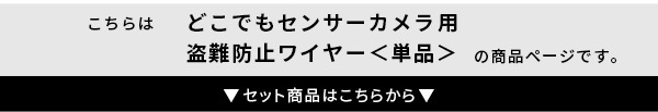 ガーデン エクステリア 乾電池式どこでもセンサーカメラ用 盗難防止ワイヤー 新生活