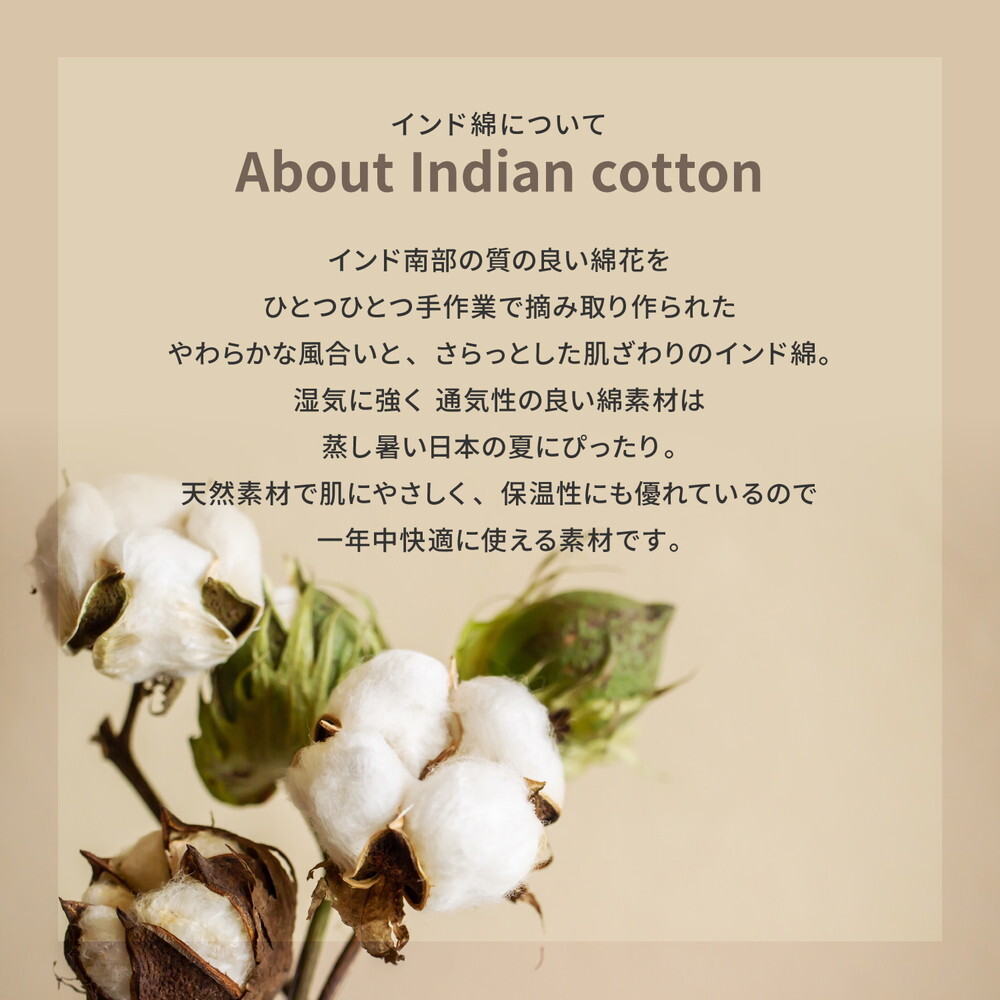 ベッド 寝具 【2枚組】 インド綿 クッキークッション アルト 約42×42×10cm 座布団 コットン100％