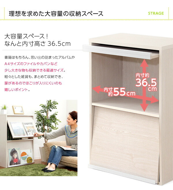 収納家具 ラック フラップ扉2枚タイプ DS60-F2--WAL ウォールナット ホームテイスト ディスプレイ シリーズ 本棚 ブック フラップ フラップチェスト