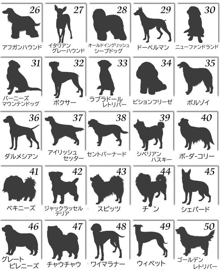 プリザーブドフラワー ペット用 お悔やみ花 贈り物 お供え 愛犬 命日 仏花 四十九日 初盆 お盆 法事 供養 法要