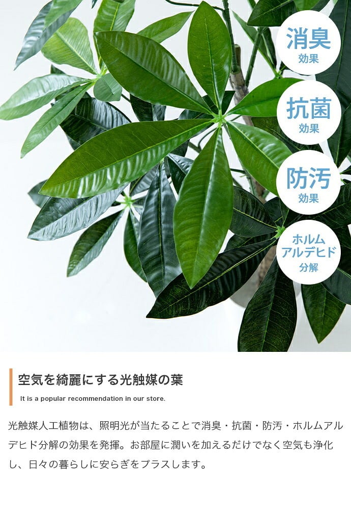 照明 ライト パキラ 観葉植物 人工 フェイクグリーン 室内 リビング オフィス 一人暮らし 緑 インテリア 光触媒 空気清浄 消臭 抗菌 防汚 ホルムアルデヒド分解 おしゃれ 高さ150cm 造花 植木 鉢植え 新築祝い 開店