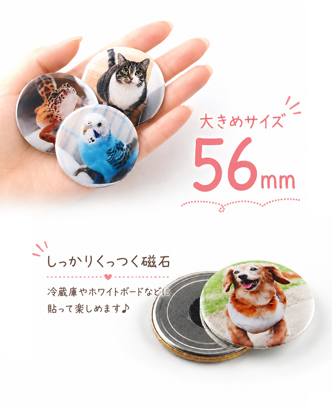 ペット 写真入り マグネット 56mm｜うちの子 オリジナル グッズ【送料無料】