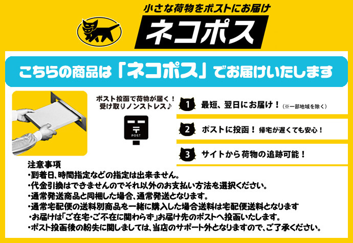 いかめし 森町 バター醤油味 2尾入×4袋入 ポスト投函 メール便 送料無料