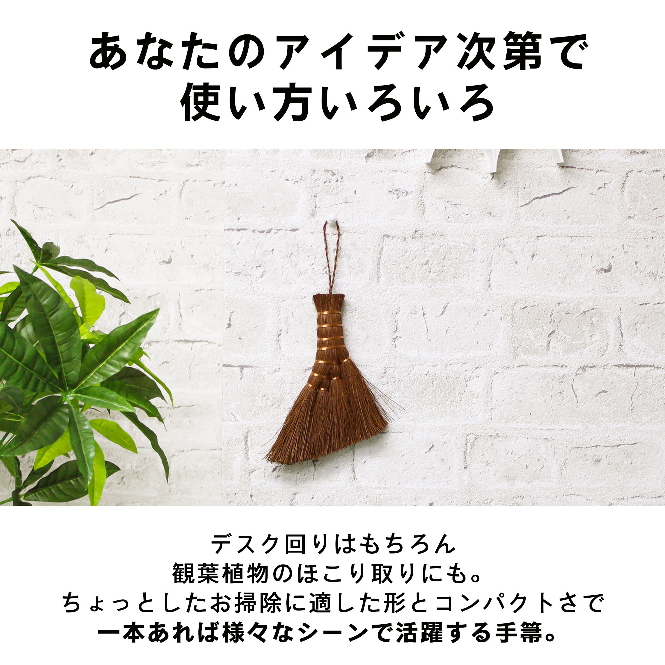 鬼毛棕櫚 4玉 荒神箒 ミニ箒 ほうき ホウキ とさか 手箒 おしゃれ コンパクト ミニほうき 小箒 荒神箒 シュロほうき 室内箒 掃除道具 卓上 隙間 掃除グッズ 隙間掃除