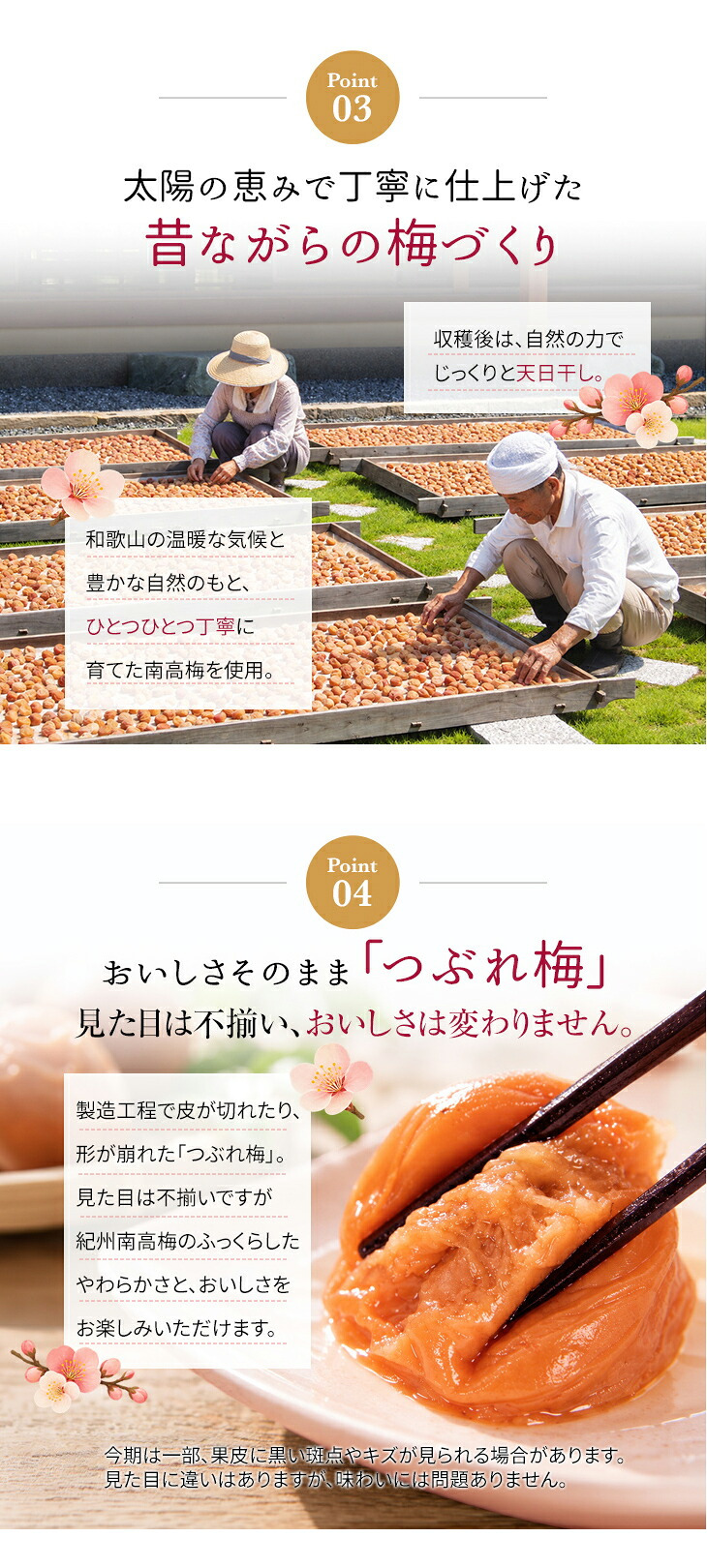 梅干し 紀州南高梅 つぶれ梅 1.7kg 850g×2パック 塩分約3% 減塩 しそ漬け 和歌山県産 赤しそ 紫蘇漬け 大粒 訳あり 紀州 お徳用 果肉たっぷり ご飯のお供 ギフト