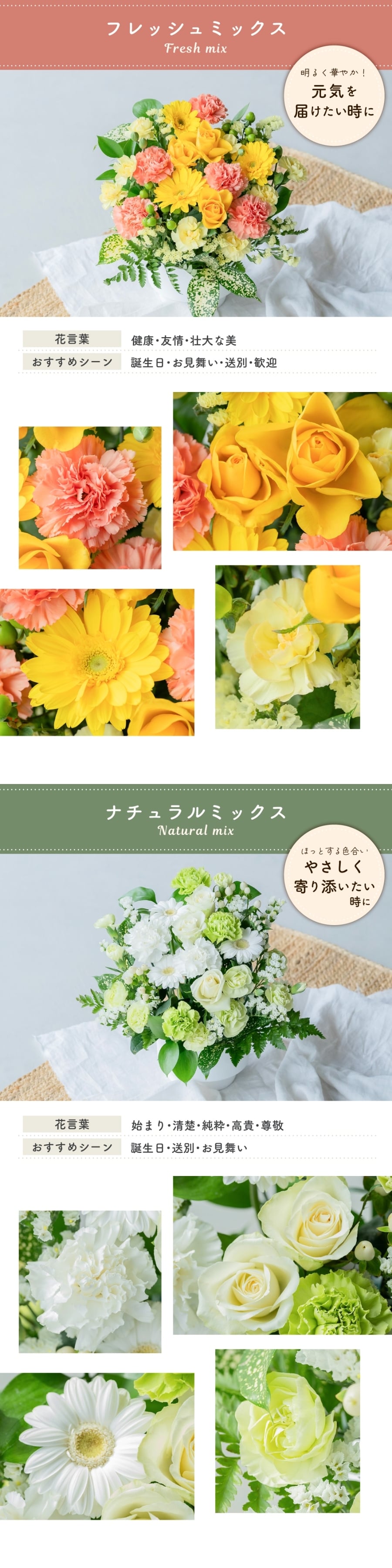 フラワーギフト カラフルガーデンフラワーアレンジメント Mサイズ 生花 花市場から直送 父の日  お祝い 誕生日 記念日