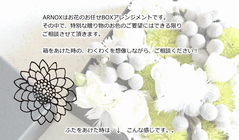 【ＡＲＮＯＸ】ＢＯＸフラワー　送料無料 即日発送 御祝いに生花のBOXフラワー 生花 敬老の日 フラワー ギフト 誕生日 結婚祝い お見舞 送別 新築祝い フラワーケーキ BOXフラワー BOXアレンジ ウエディング 御祝い 卒業 入学 出産 お供え 敬老の日 お中元 お歳暮