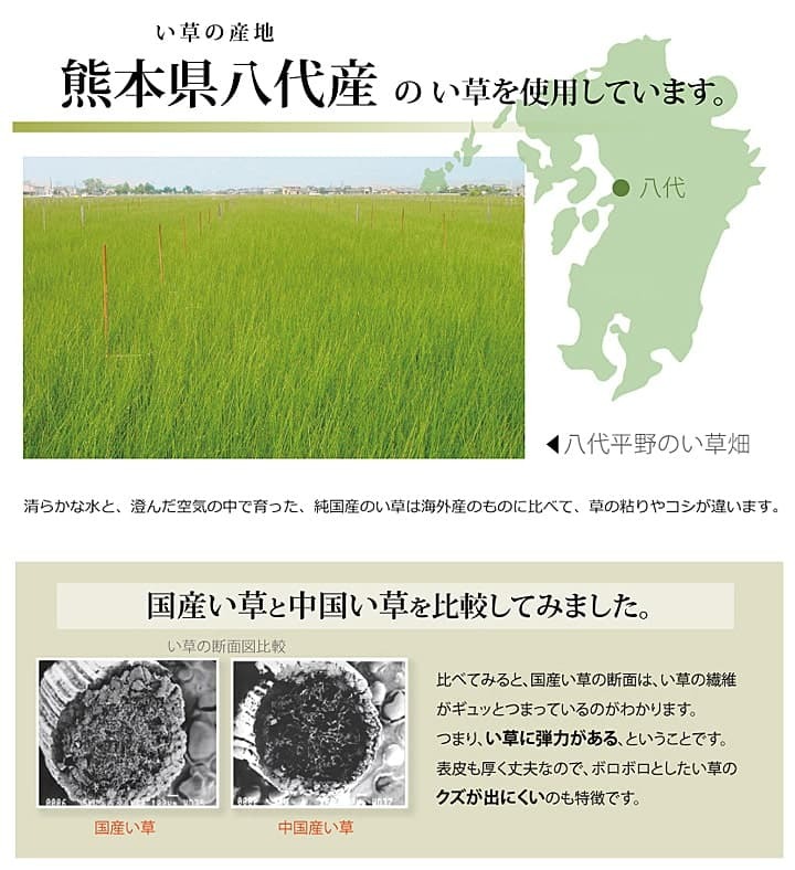 夏ラグ 夏用カーペット 純国産 い草 上敷き カーペット 市松織 『不知火』 江戸間3畳(約176×261cm） 熊本県八代産イ草使用