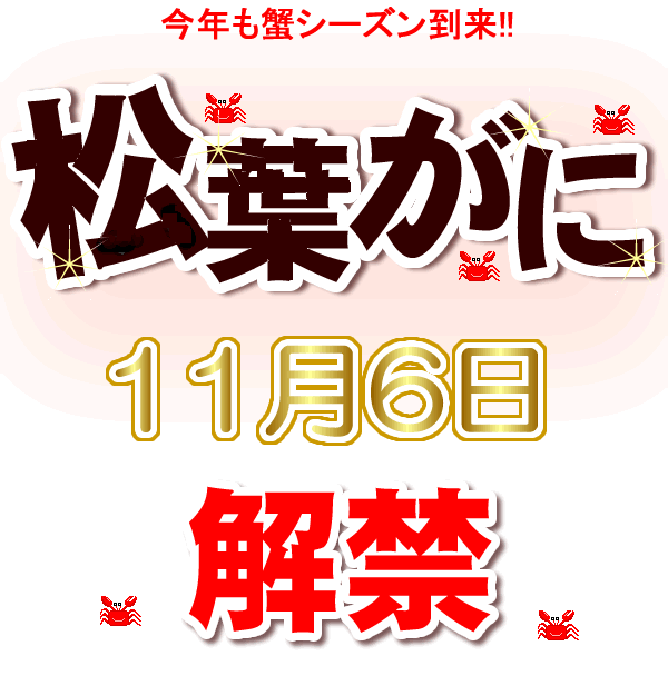 タグ付き 松葉がに【 活生 / ボイル 】最上ランク 大サイズ １枚 1 ｋｇ以上　送料無料　※北海道、東北、沖縄は送料別途加算 1杯 松葉ガニ 松葉かに 松葉カニ 松葉蟹 兵庫県 浜坂 御歳暮 祝 お礼