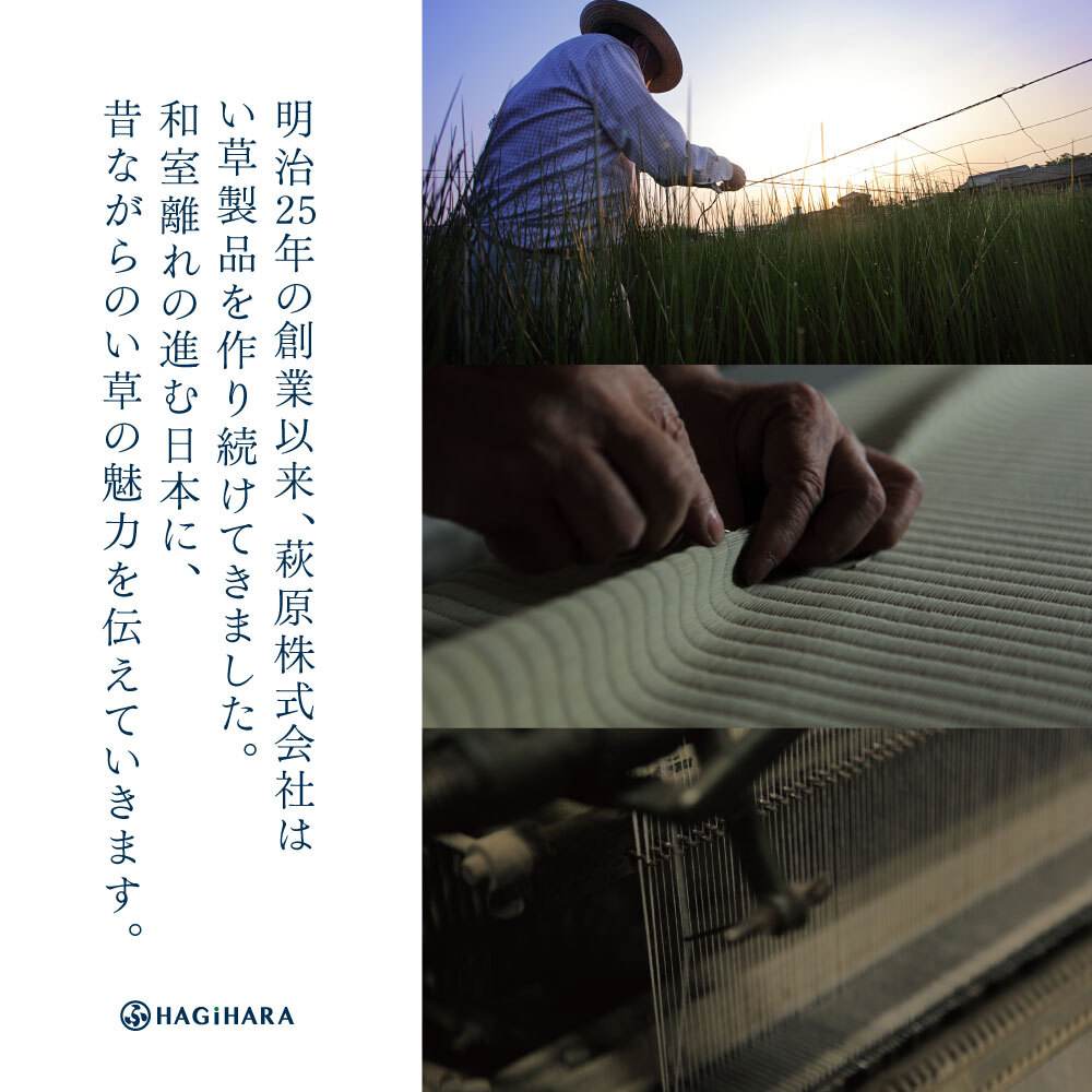 収納家具 ラック 【12枚組】 い草畳 82×82×2.5cm/枚 抗カビ 消臭 縁なし 滑り止め付き フローリングに置くだけ 取り外しOK 吸音 断熱 吸湿 ストライプ柄 和モダン 赤ちゃん リビング おしゃれ ブ ブラウン グリーン ナチュラル