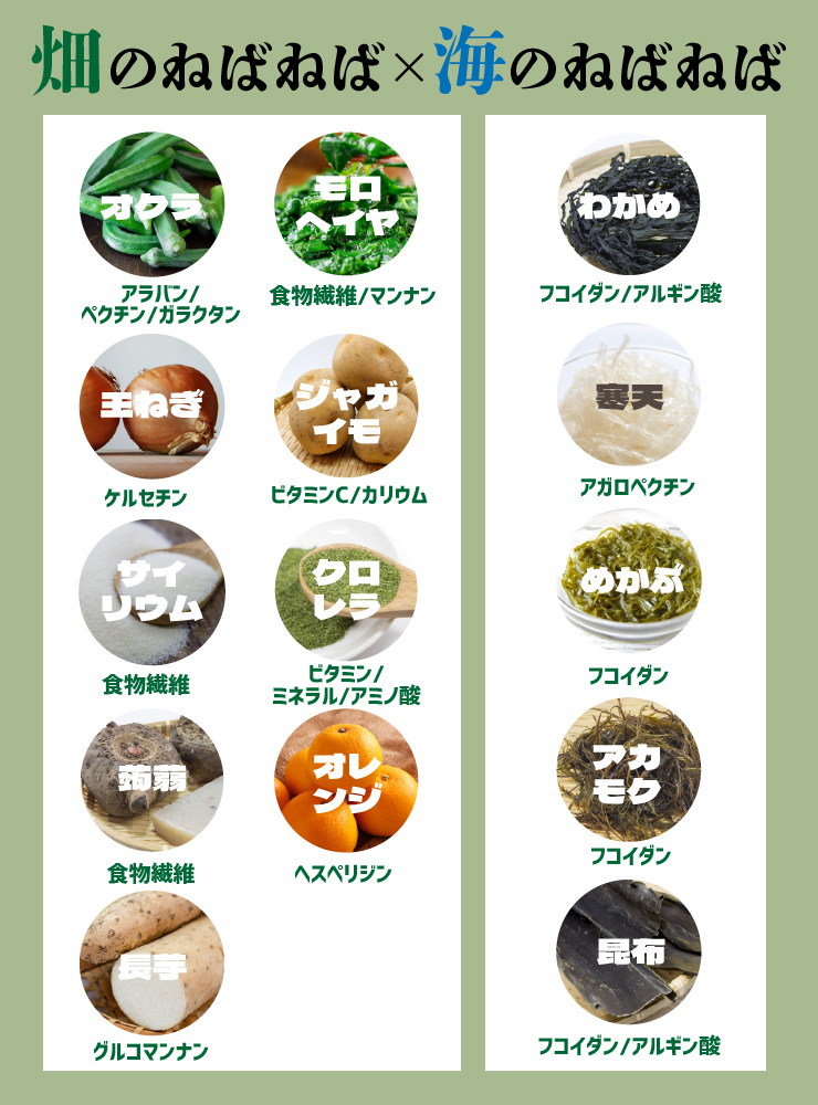 無添加 すごいねばねばグリーンポタージュダイエットスープ12食